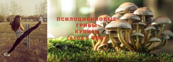 a pvp Абаза